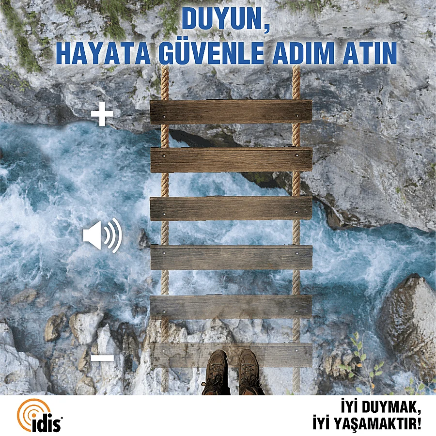 IDIS